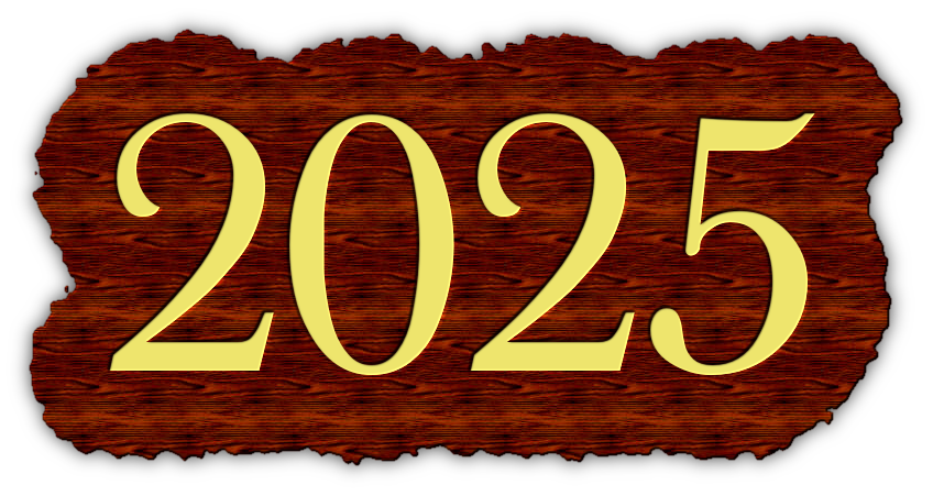 Happy New Year 2025 Sparkle Rain PNG Image