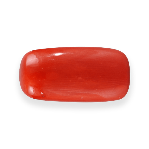 Coral Gem Red PNG File HD PNG Image