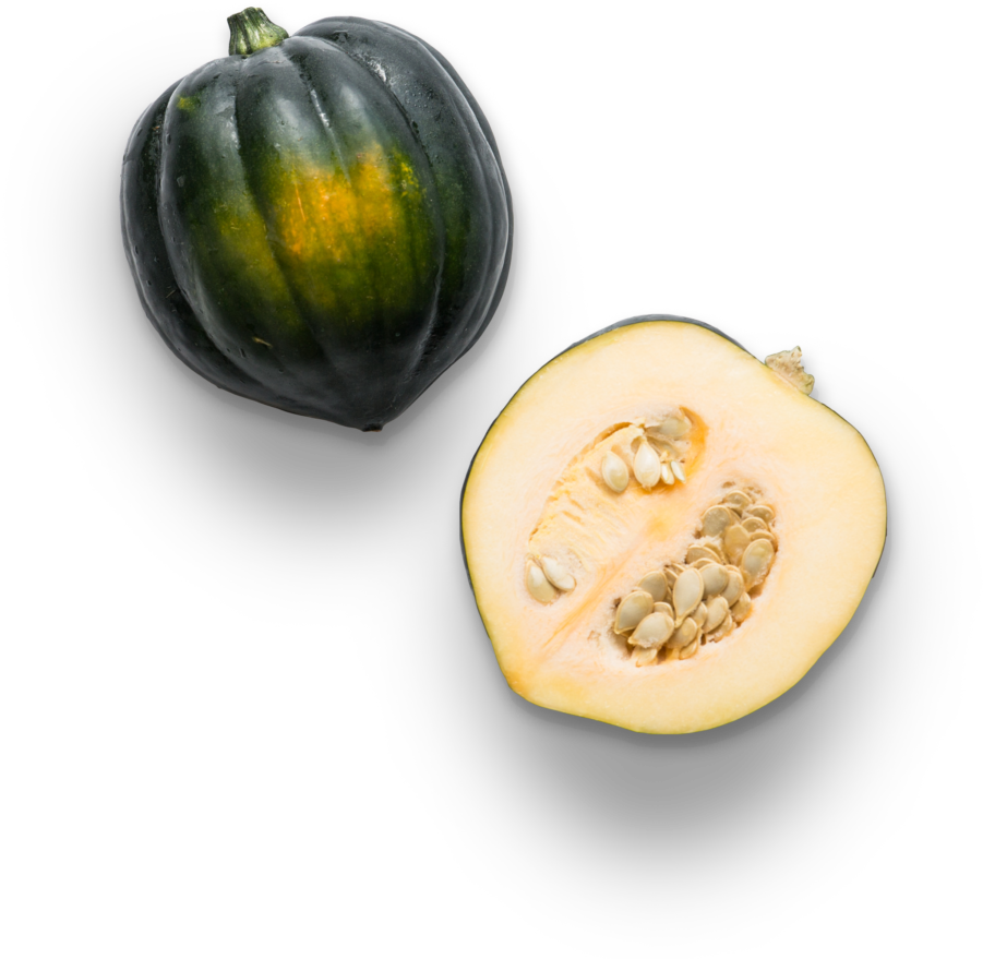 Squash Acorn Download HD PNG Image