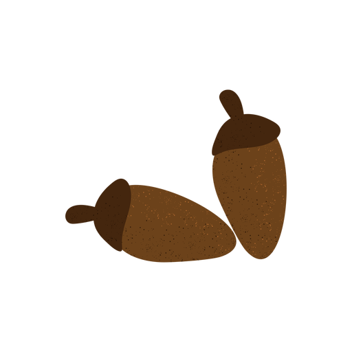 Acorn Free Transparent Image HQ PNG Image