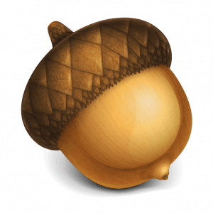 Acorn Png Image Acorns PNG Image