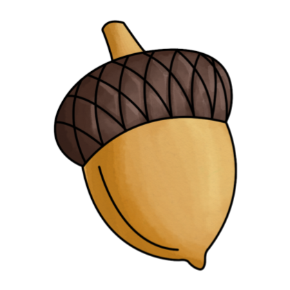 Acorn Png PNG Image