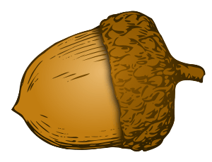 Acorn Png Image Acorns PNG Image