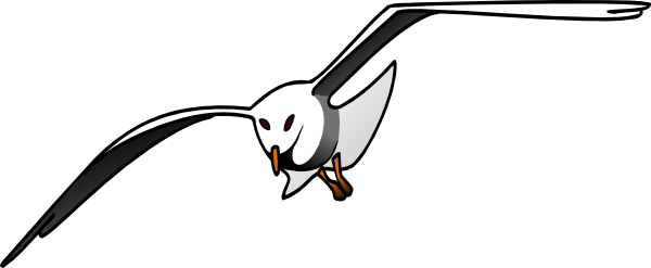 Albatross PNG Image