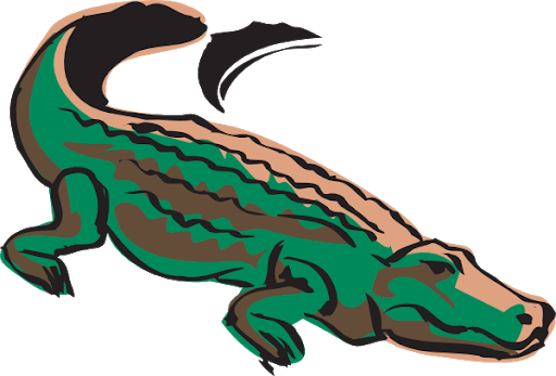 Alligator Vector HQ Image Free PNG Image