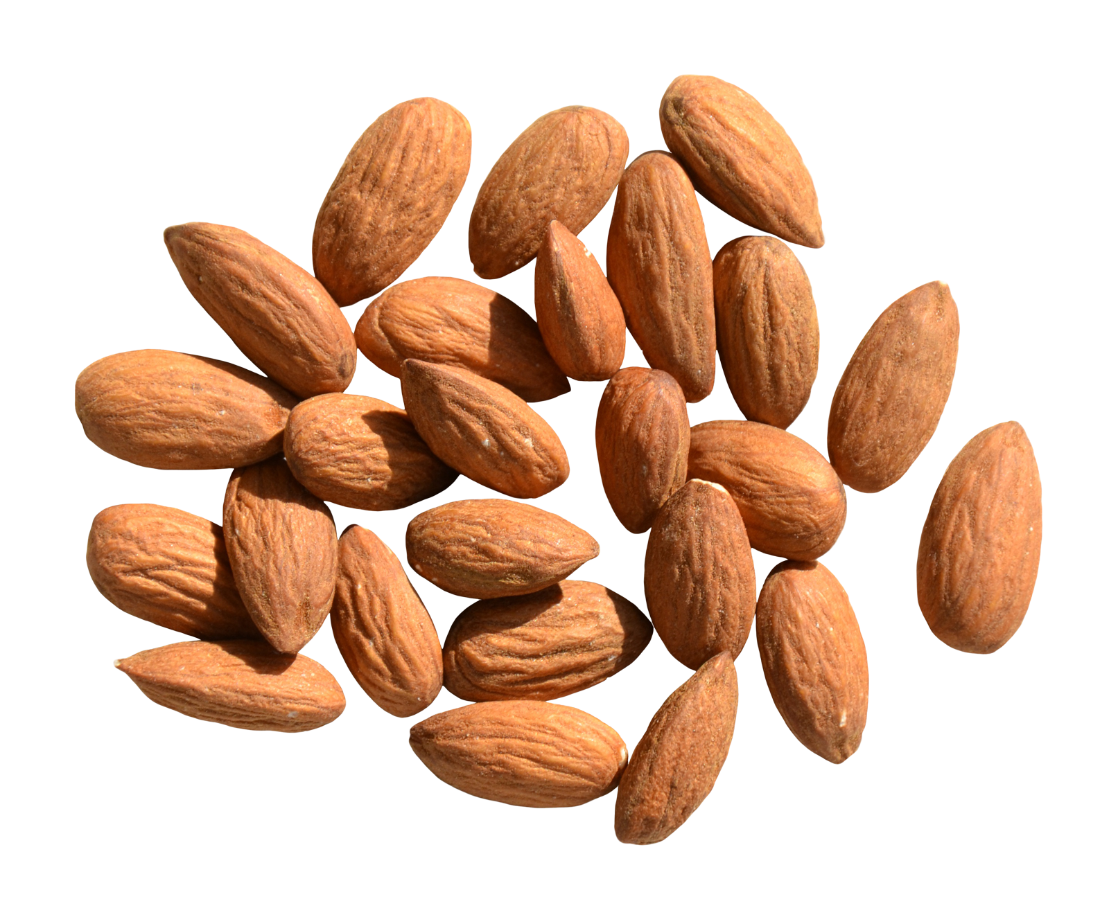 Nut Almond PNG File HD PNG Image