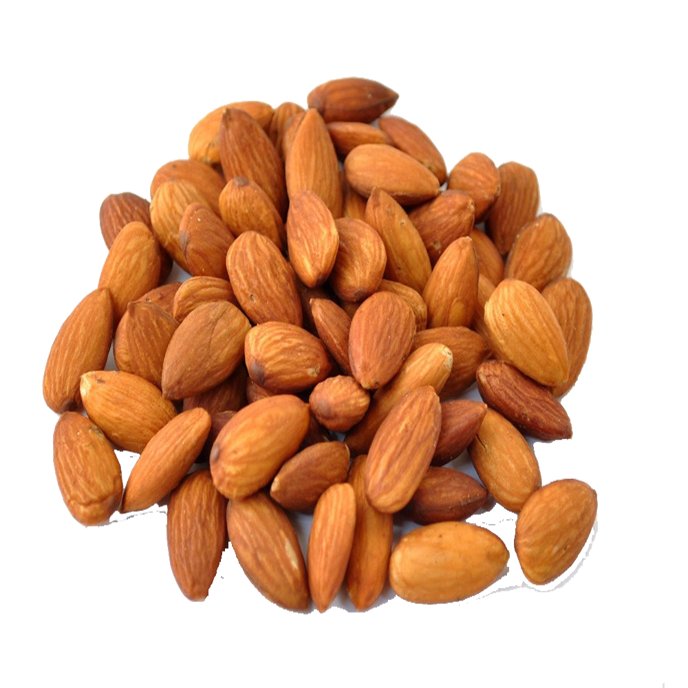 Nut Almond PNG File HD PNG Image