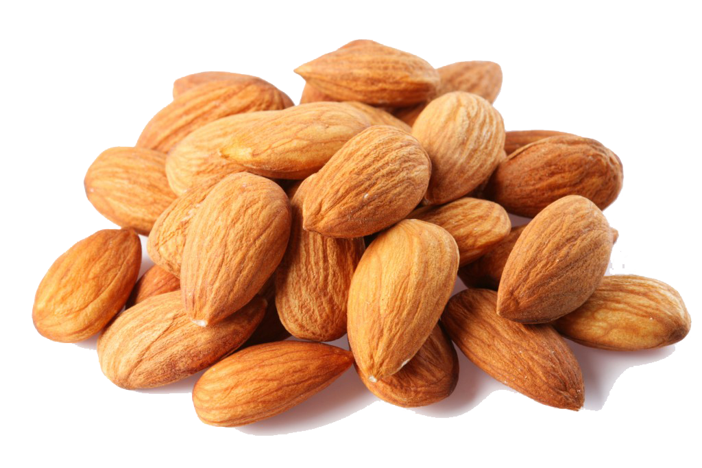 Almond Free Png Image PNG Image