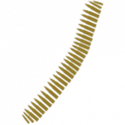 Ammunition Transparent PNG Image