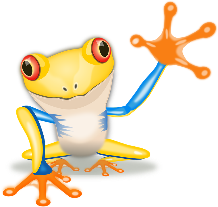 Amphibian PNG Image