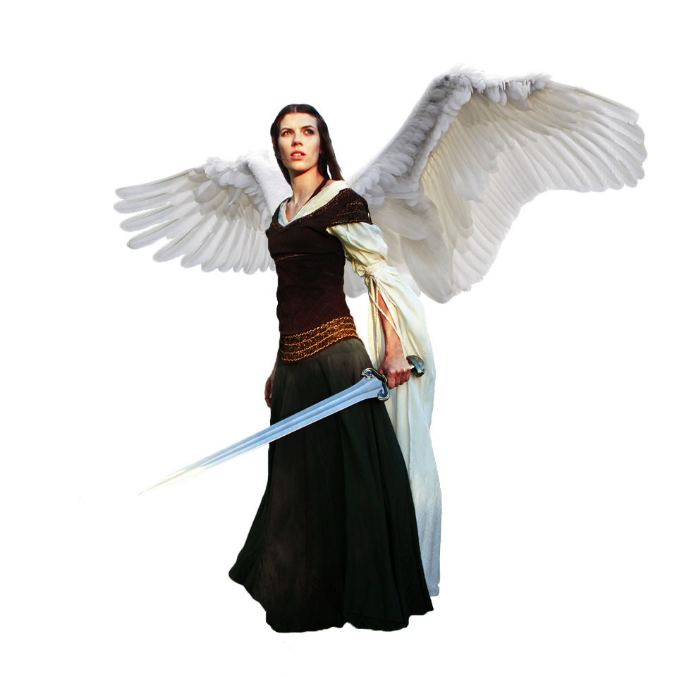 Angel Warrior Png PNG Image