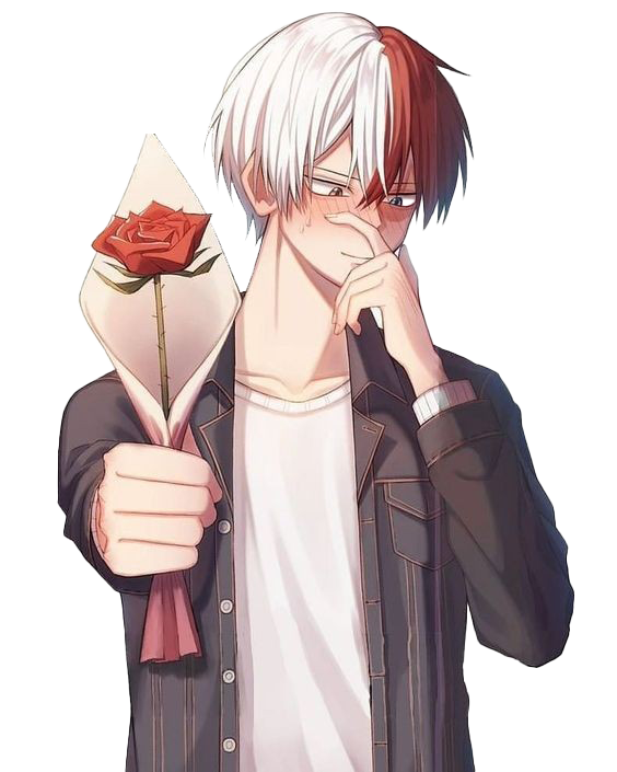 Todoroki Shoto Free PNG HQ PNG Image