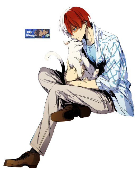 Todoroki Free Clipart HD PNG Image