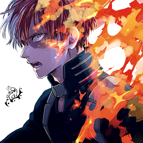 Todoroki Picture Download HQ PNG Image