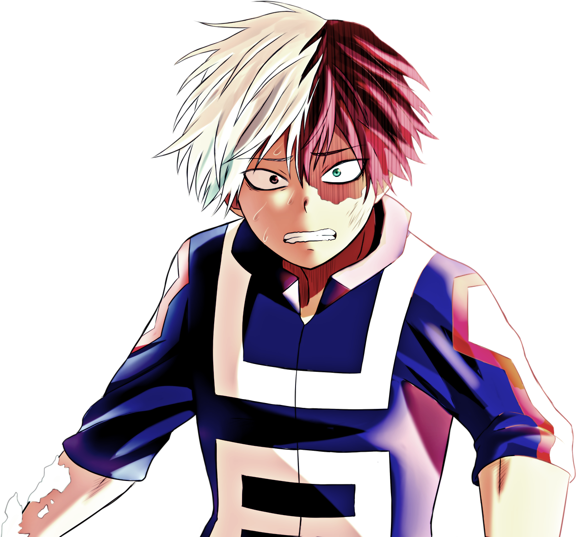 Todoroki Free PNG HQ PNG Image