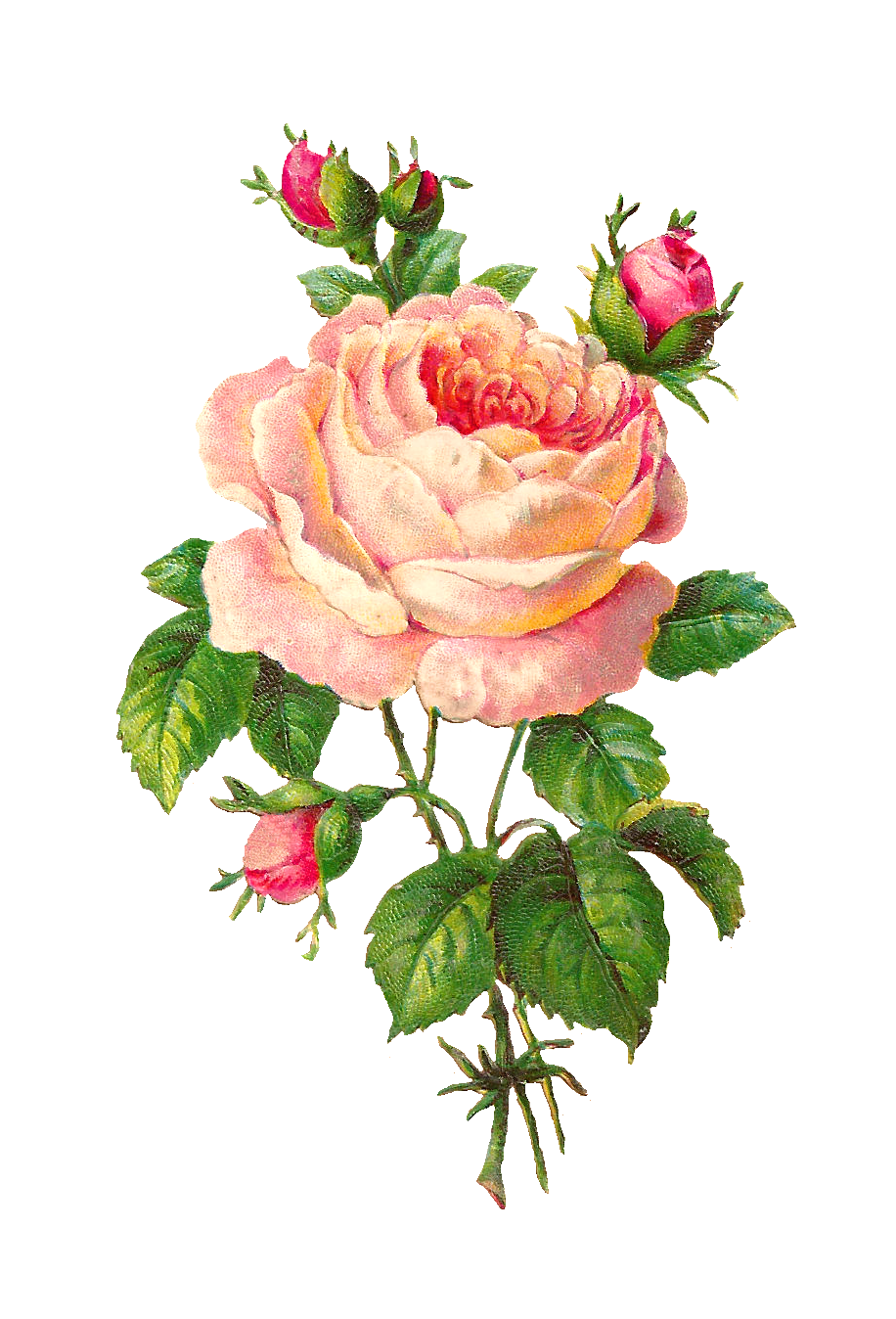 Antique Flower Art HD Image Free PNG Image