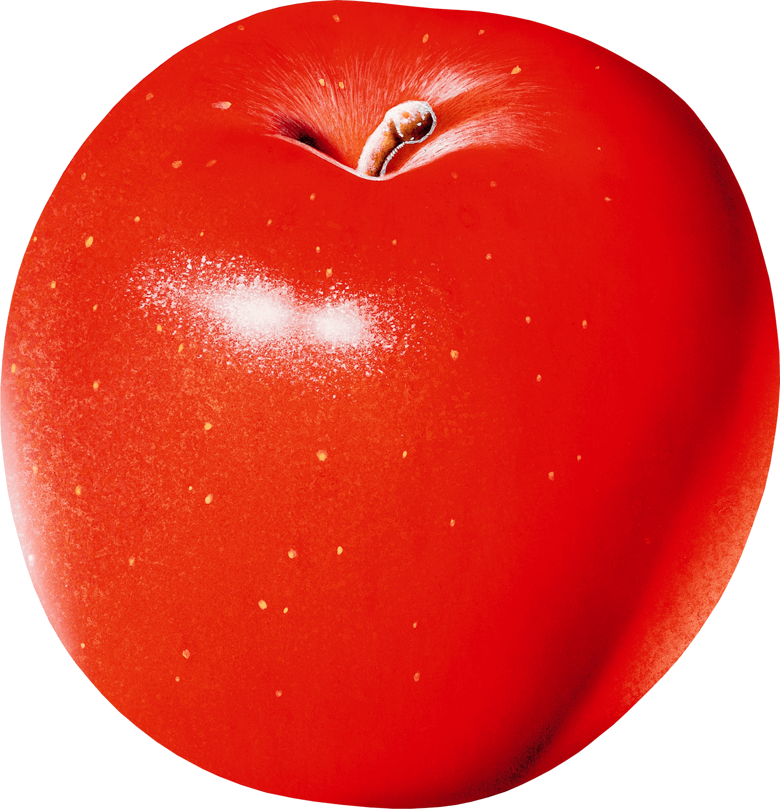 Red Apple Png Image PNG Image