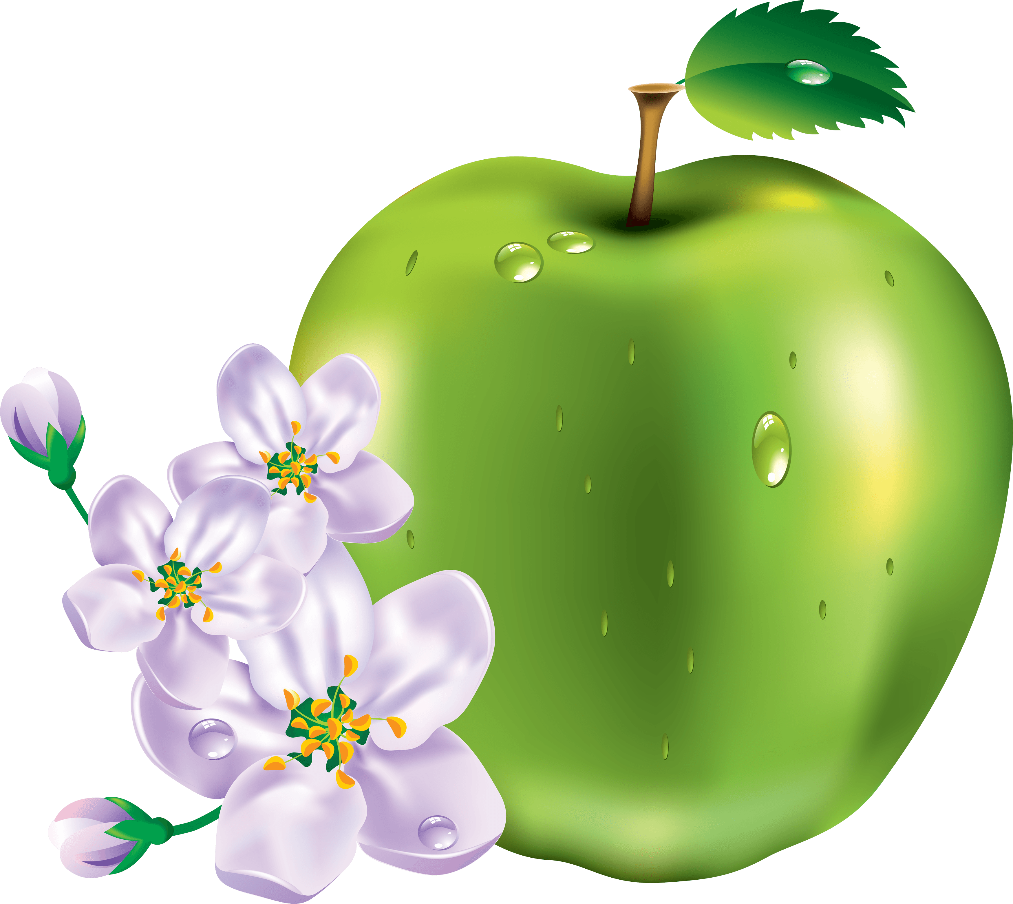 Green Apple Png Image PNG Image