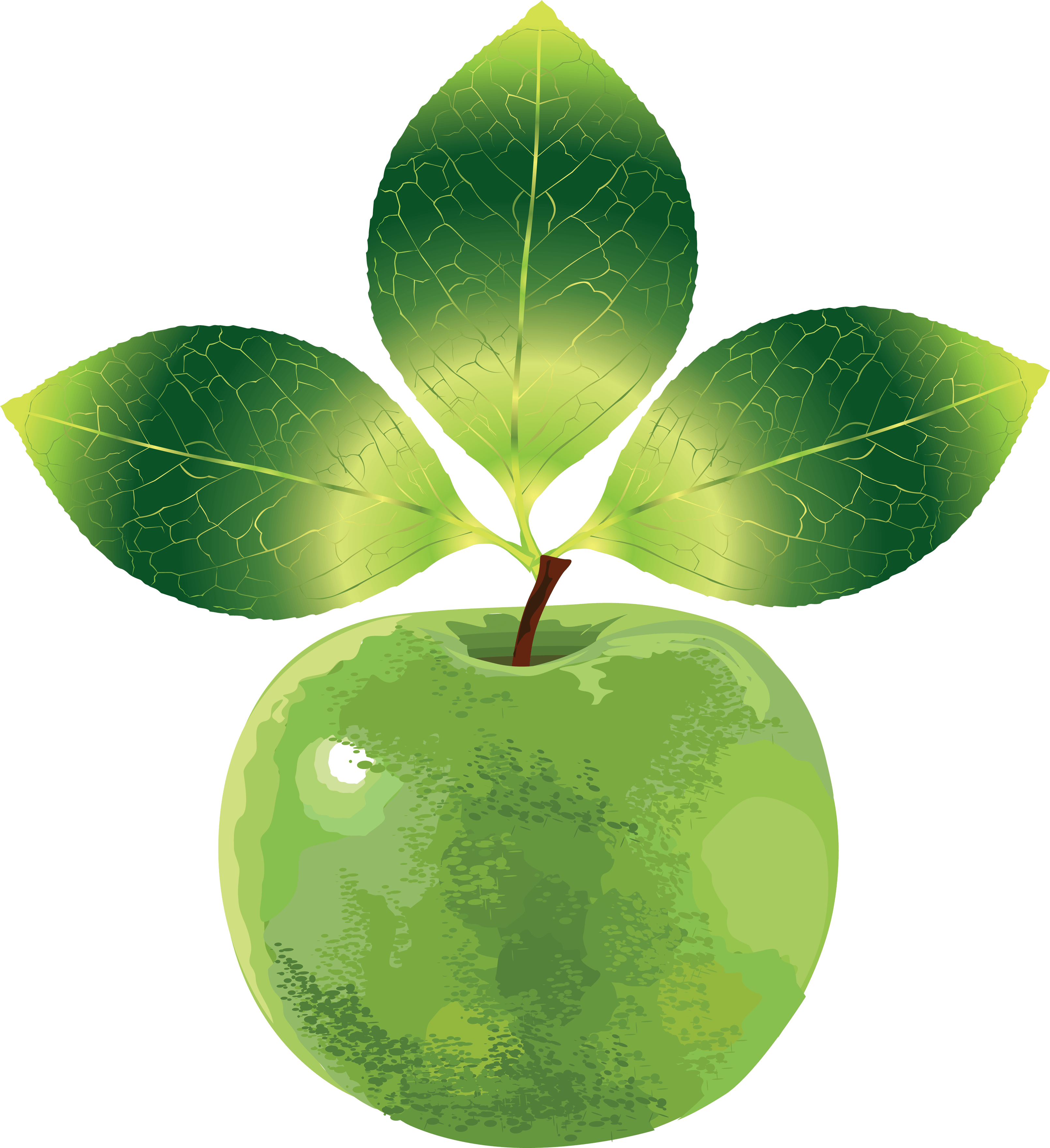 Green Apple Png Image PNG Image