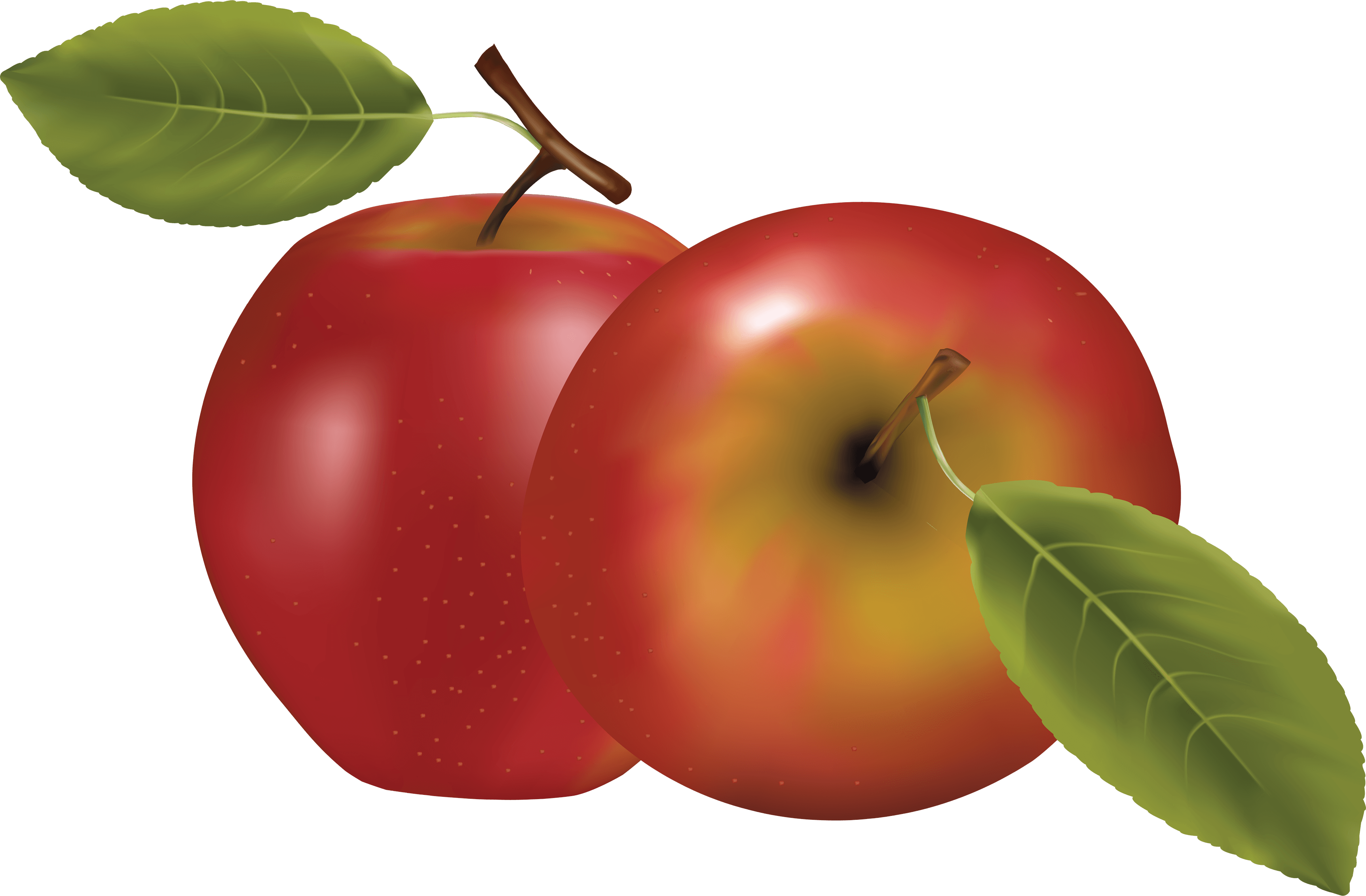 Red Apple Png Image PNG Image