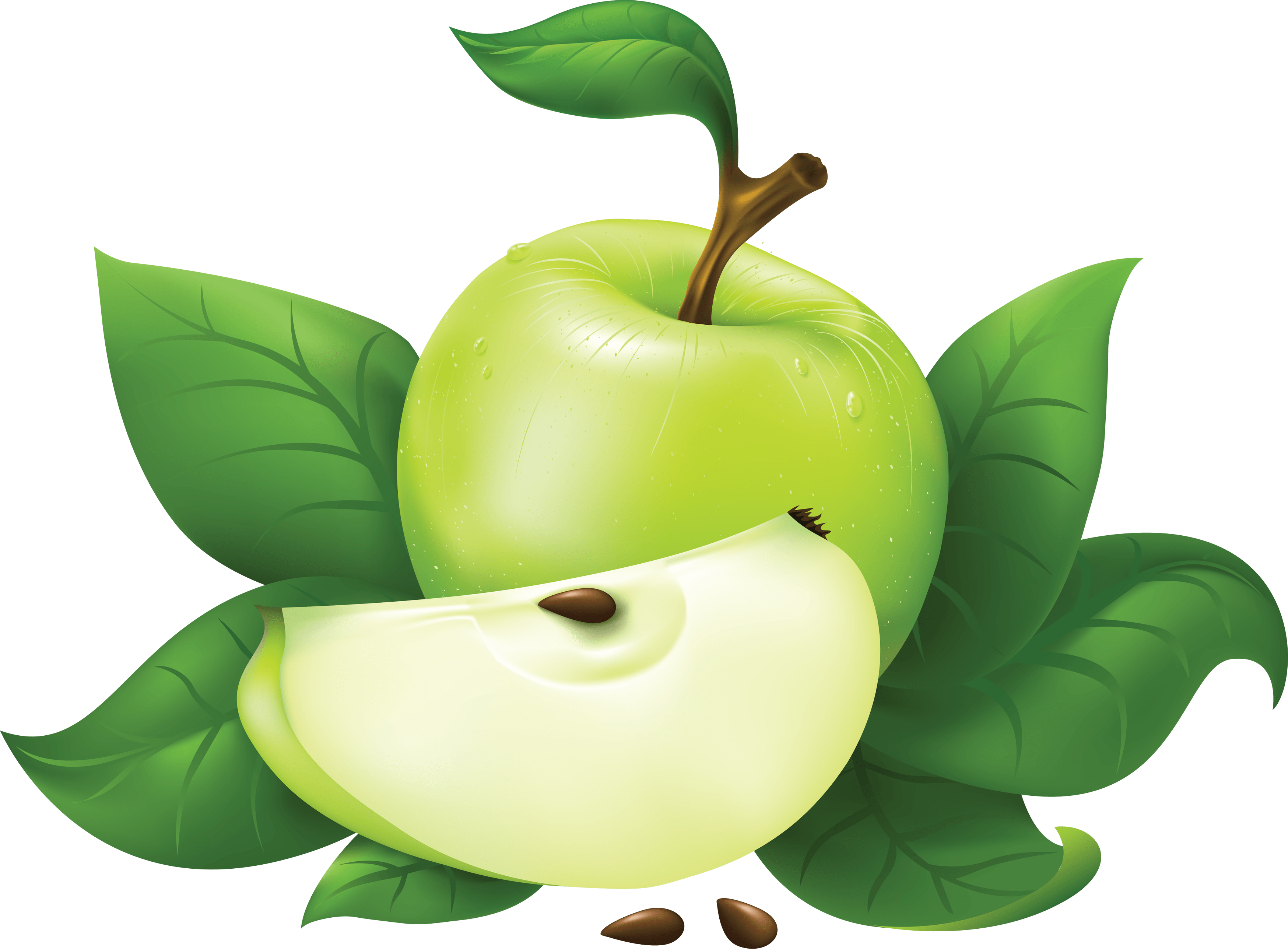 Green Apple Png Image PNG Image