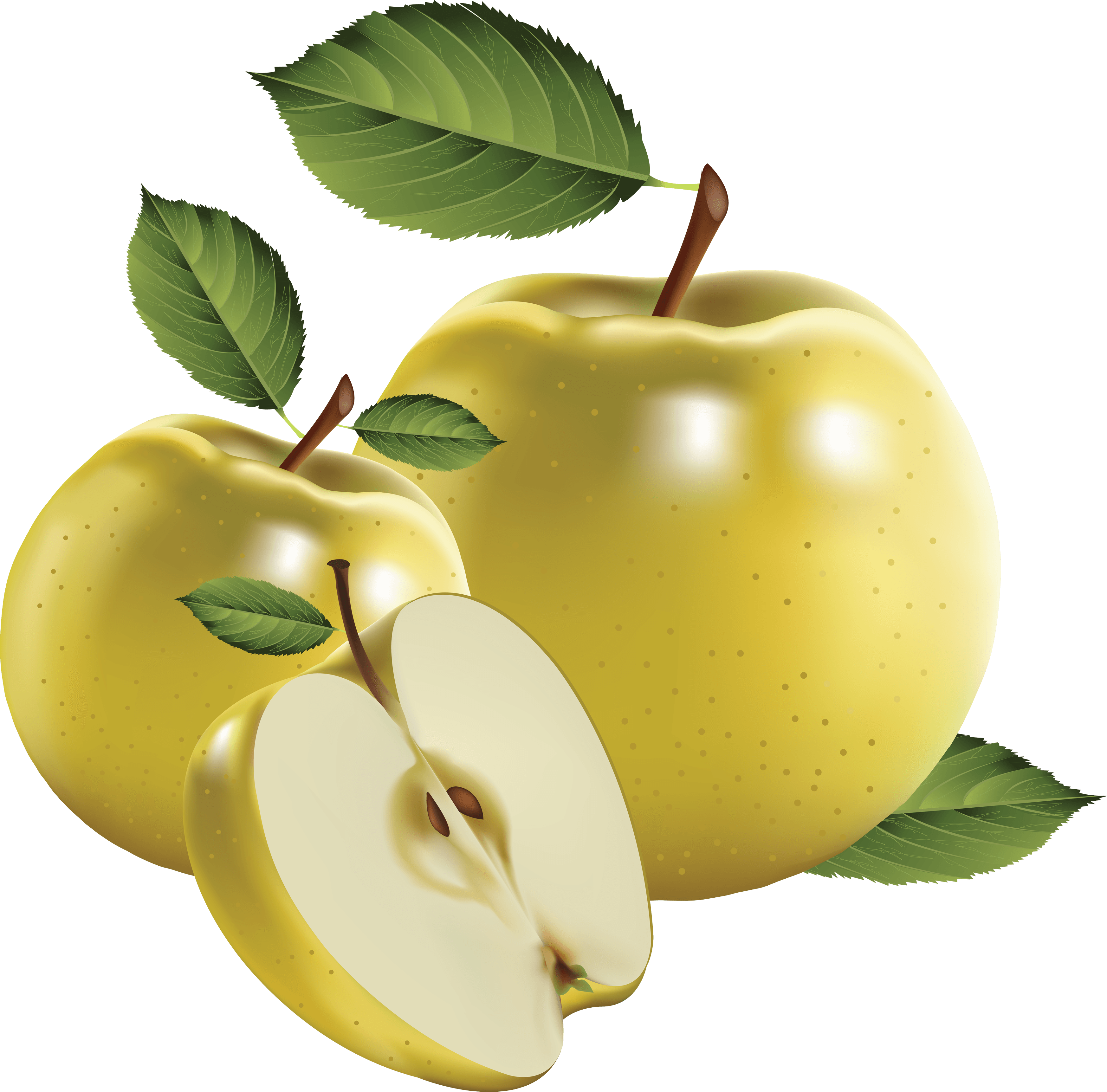 Png Apple Image Clipart Transparent Png Apple PNG Image