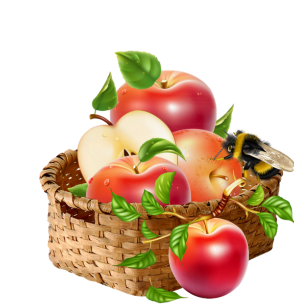 Basket Apple HQ Image Free PNG Image