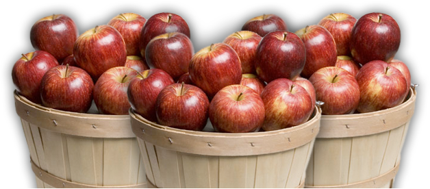 Basket Photos Apple PNG Free Photo PNG Image