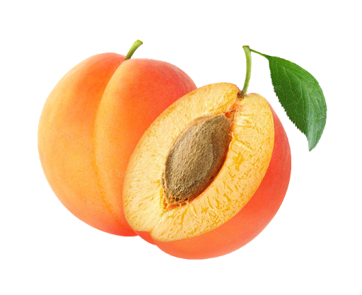 Apricot Up Close Free Transparent Image HD PNG Image