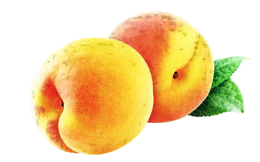 Apricot Up Close HD Image Free PNG Image