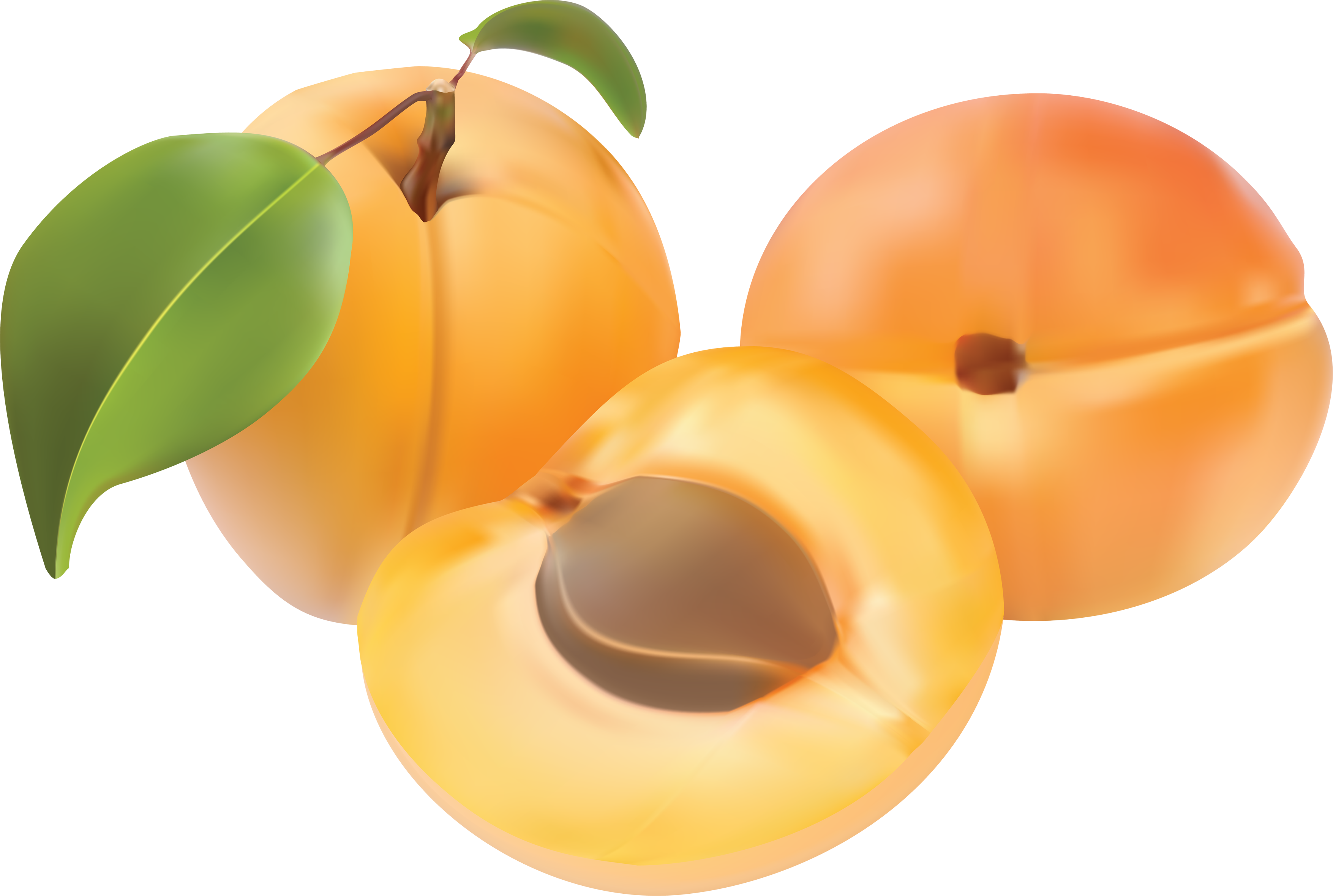 Apricot Up Close PNG File HD PNG Image