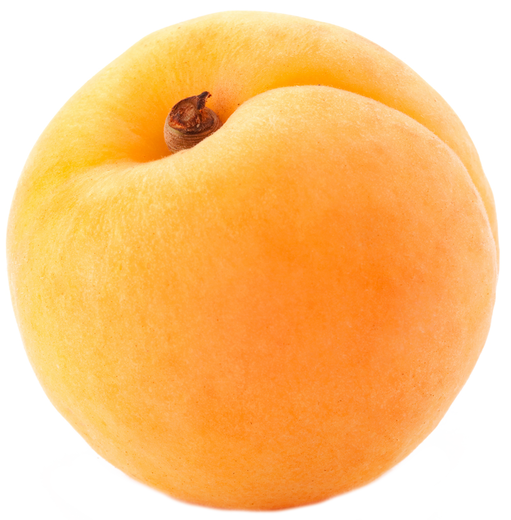 Apricot Fruit Free Transparent Image HD PNG Image