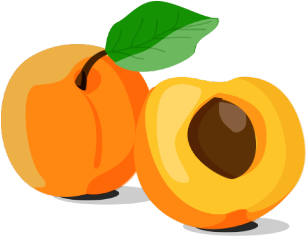 Apricot Fruit Slice HD Image Free PNG Image