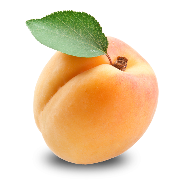 Apricot Up Close Free HD Image PNG Image