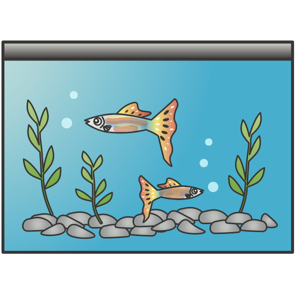 Fish Tank Aquarium Free PNG HQ PNG Image