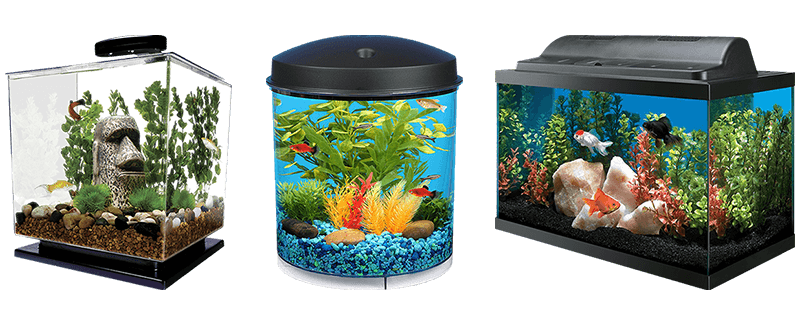 Fish Tank Aquarium HQ Image Free PNG Image