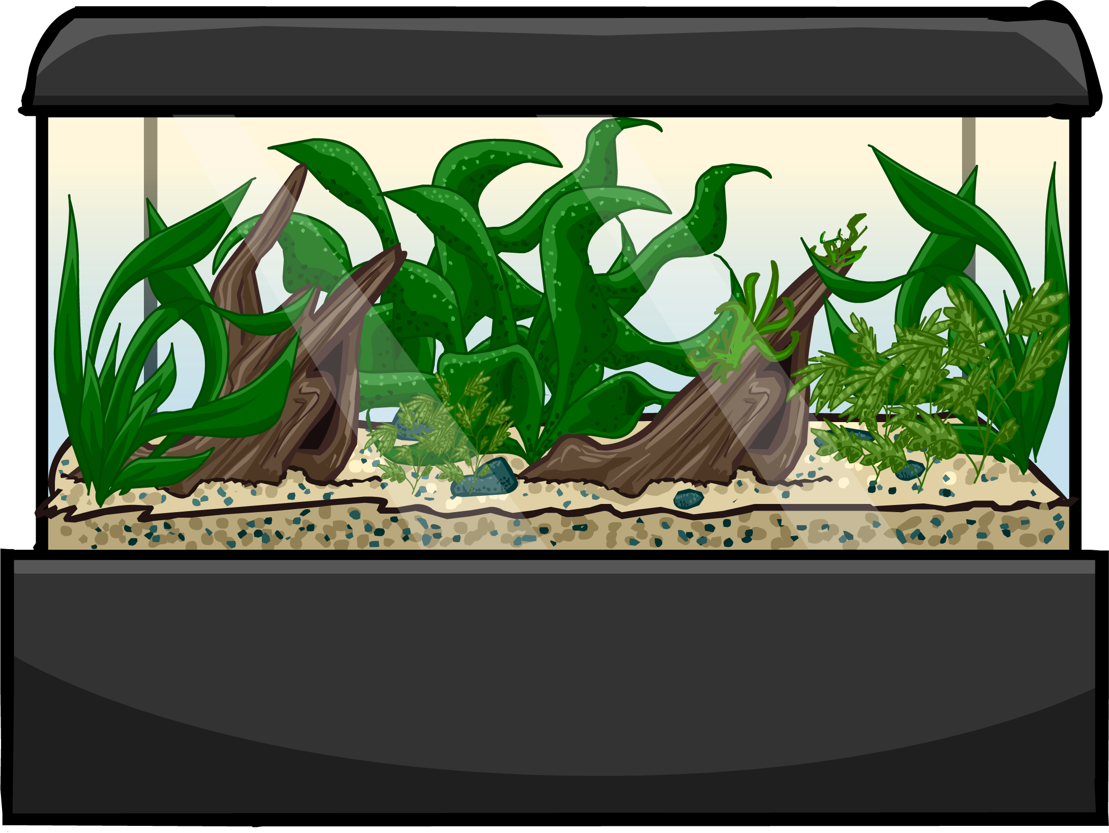 Picture Fish Tank Aquarium Free Transparent Image HD PNG Image