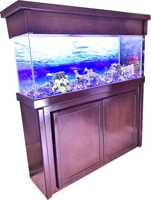 Glass Fish Tank Aquarium Photos PNG Image