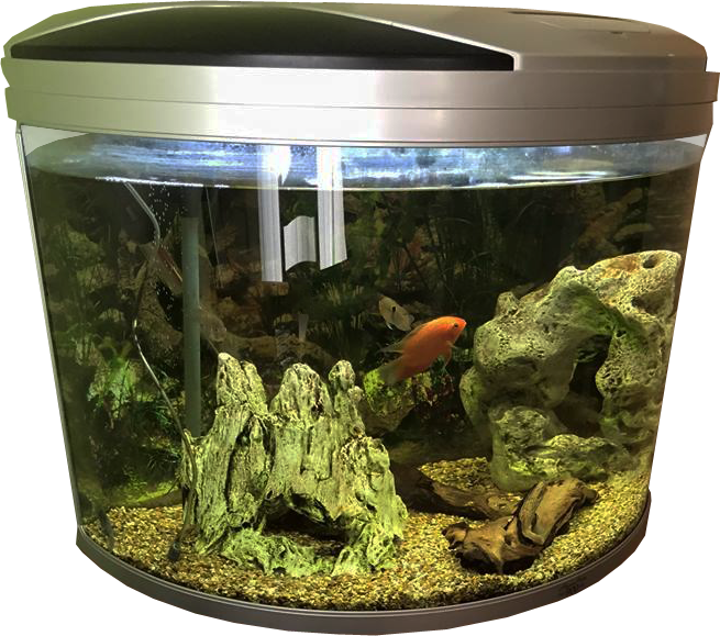 Gallon Fish Tank Aquarium PNG Image High Quality PNG Image