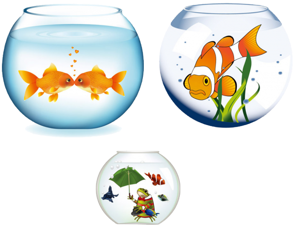 Fish Vector Tank Bowls Free Transparent Image HD PNG Image