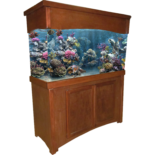 Aquarium Furniture HD Image Free PNG PNG Image