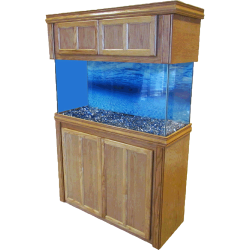 Aquarium Furniture HQ Image Free PNG PNG Image