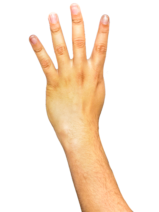 Arm Transparent Background PNG Image