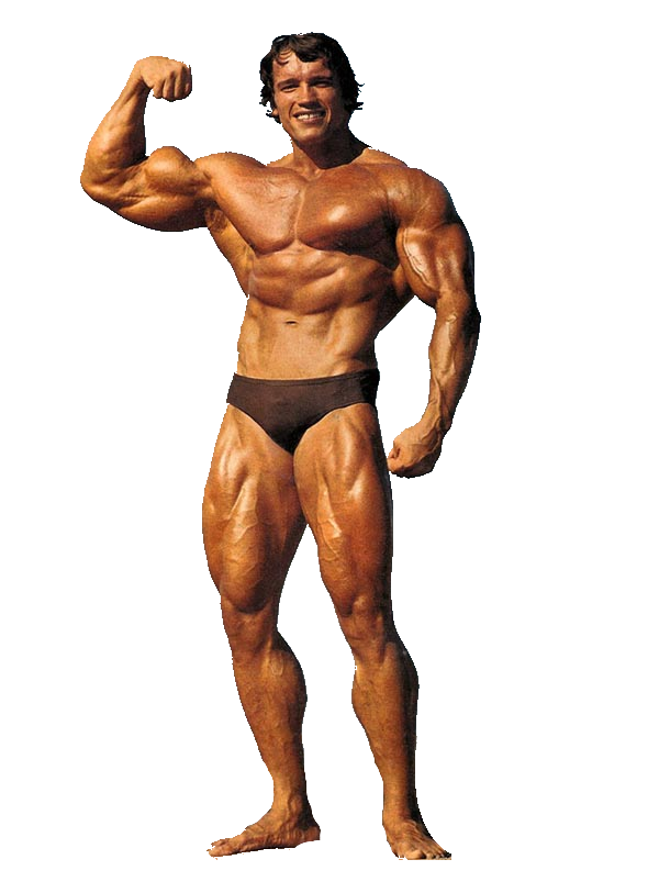 Schwarzenegger Arnold Free PNG HQ PNG Image