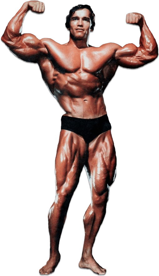 Schwarzenegger Arnold PNG Download Free PNG Image