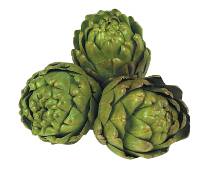 Artichokes Hd PNG Image