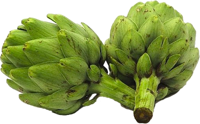 Artichokes PNG Image