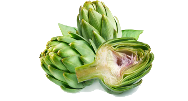 Artichokes Transparent Background PNG Image