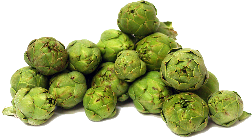 Artichokes Image PNG Image