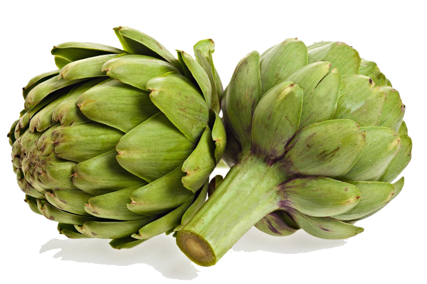 Artichokes Photo PNG Image